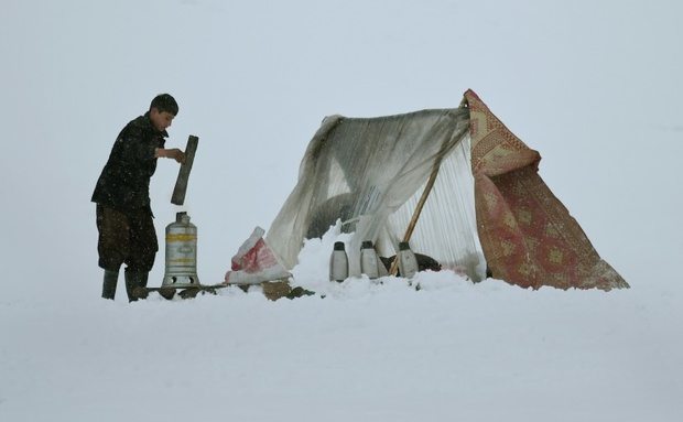 عکس/ ایستگاه چای