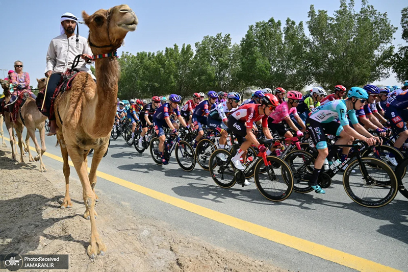 منتخب تصاویر امروز جهان - 4 و 5 اسفند 1403