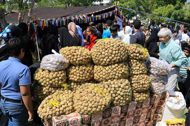 پایتخت گردوی ایران زمینه ساز توسعه گردشگری