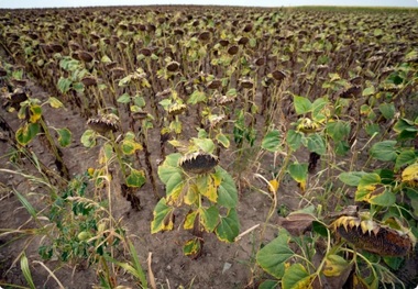 خشکسالی بیش از نیمی از اروپا و حوضه مدیترانه را در بر می‌گیرد