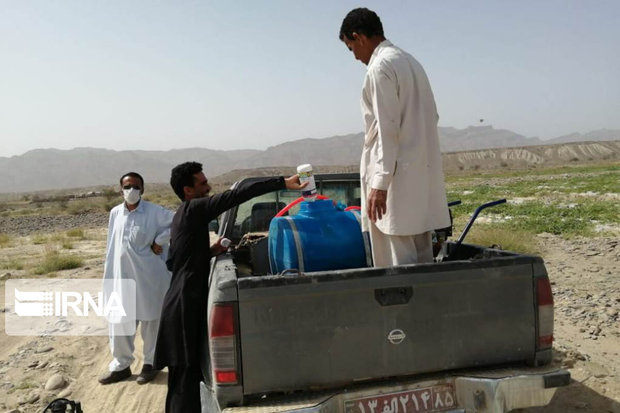 مبارزه با ملخ صحرایی توسط ۳۰ تیم جهاد کشاورزی سیستان و بلوچستان انجام می‌شود