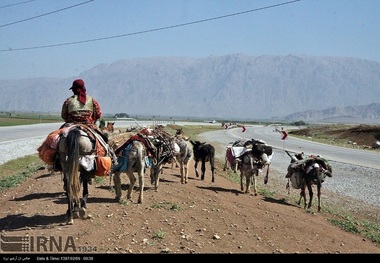 کوچ عشایر از بروجرد آغاز شد