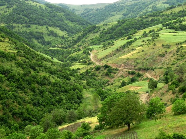 گشت نوروزی حفاظت از عرصه های ملی در کردستان تشکیل می شود