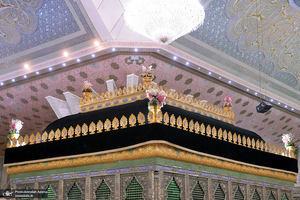 عزاداری دانشجویان دانشگاه علوم پزشکی بقیه الله (عج) در حرم امام خمینی (س)