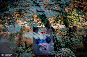 منتخب تصاویر امروز جهان - 22 مرداد 1401