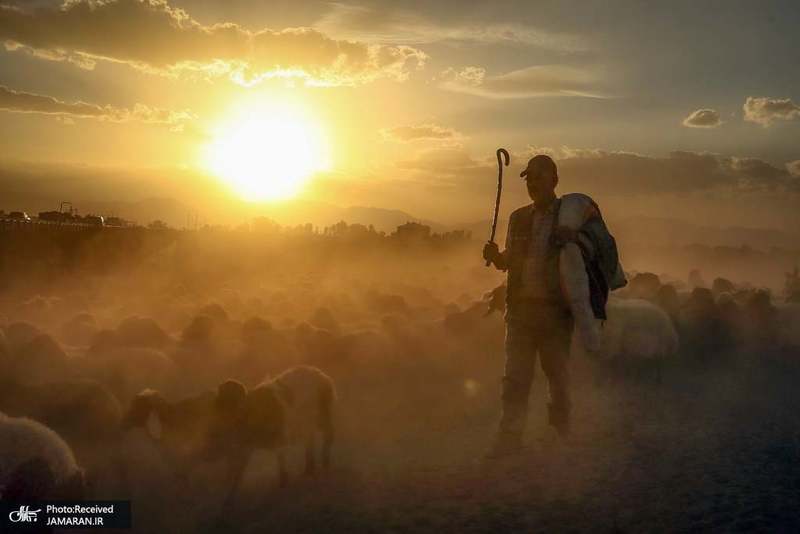 منتخب تصاویر امروز جهان- 12 مهر