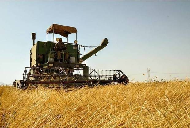 برداشت گندم در باغملک آغاز شد