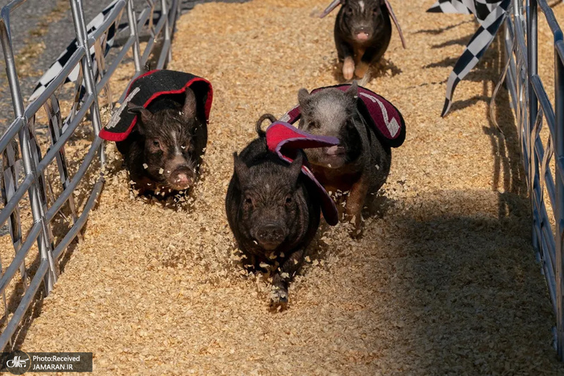 منتخب تصاویر امروز جهان - 21 شهریور 1401