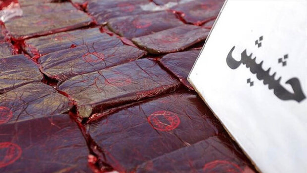 ۵۱۰ کیلوگرم حشیش در گرگان کشف شد