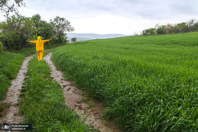 منتخب تصاویر امروز جهان - 31 اردیبهشت 1401