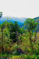 طبیعت روستای بزکویه