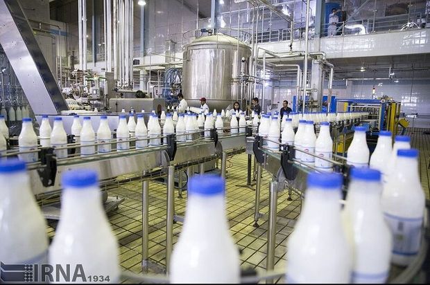شیر تولیدی در اصفهان سالم و عاری از هرگونه آلودگی است
