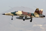 نشنال اینترست: ایران در تولید جنگنده‌ها به خودکفایی رسیده است