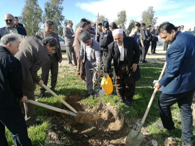 حفظ و احیای مراتع و فضای سبز یک وظیفه همگانی است