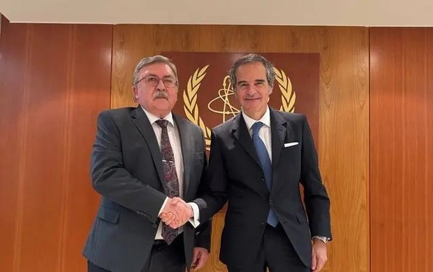 رایزنی نماینده روسیه در آژانس با گروسی درباره برنامه هسته‌ای ایران + عکس