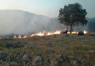 منطقه چال منار اندیکا دچار آتش سوزی شد