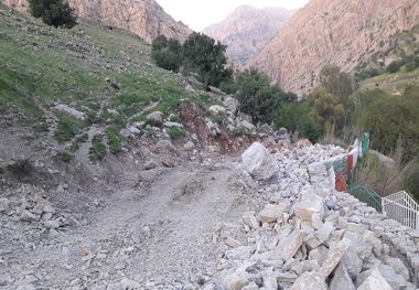 تخریب منابع طبیعی مال‌آقا با حکم قضایی متوقف شد