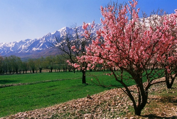 بهار چهارمحال و بختیاری از نمای نزدیک