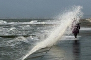 سواحل استان بوشهر متلاطم می‌شود  هشدار برای ترددهای دریایی