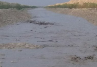 بارش های اخیر تالاب آلاگل را از خشکیدگی نجات داد