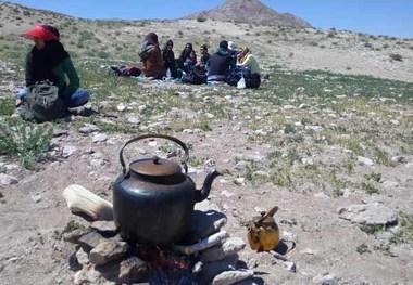 طراوت زیبای بهاری در ندوشن پس از بارندگی اخیر