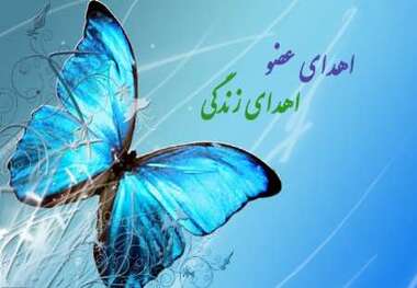 اهدای عضو جوان الیگودرزی در اصفهان به سه بیمار زندگی دوباره بخشید