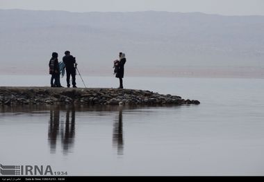 ۸۰ درصد تالاب کجی نهبندان آبگیری شد