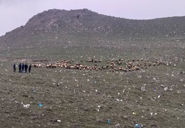 دوران کرونایی و ضرورت ‌دفن بهداشتی پسماندهی بیمارستانی