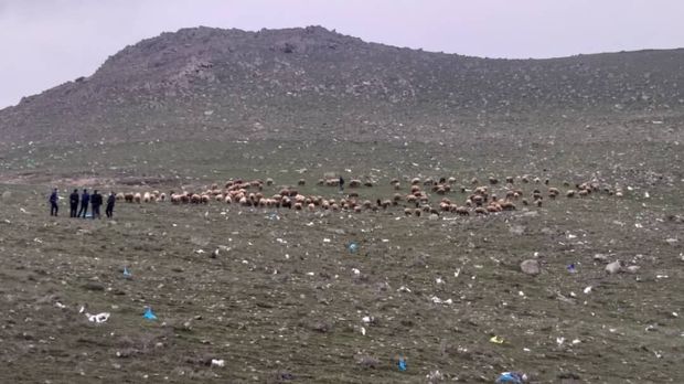 دوران کرونایی و ضرورت ‌دفن بهداشتی پسماندهی بیمارستانی