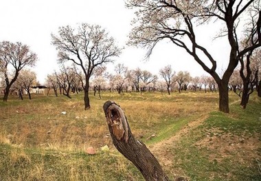 بسته سیاستی باغستان قزوین در راستای تحقق شهر پایدار است