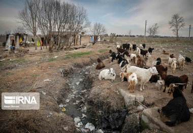 مطالعه طرح محرومیت زدایی مراوه‌تپه و چند خبر کوتاه از گلستان