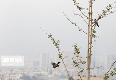 بوی نامطبوع کرمانشاه را فرا گرفت