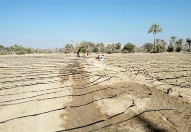 تدبیر امیدآفرین اقتصاد مقاومتی در منوجان کرمان