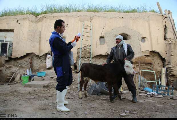 دامپزشکان حافظان گمنام سلامت جامعه