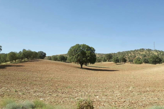 2برابر اعتبار برای منابع طبیعی زنجان