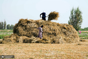 منتخب تصاویر امروز جهان- 6 خرداد