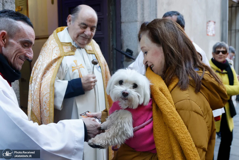 منتخب تصاویر امروز جهان - 28 و 29 دی 1403