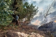 آخرین وضعیت آتش سوزی در 3 نقطه جنگل‌های مازندران/ احتمال وقوع آتش‌سوزی‌های مجدد طی امروز و فردا وجود دارد!