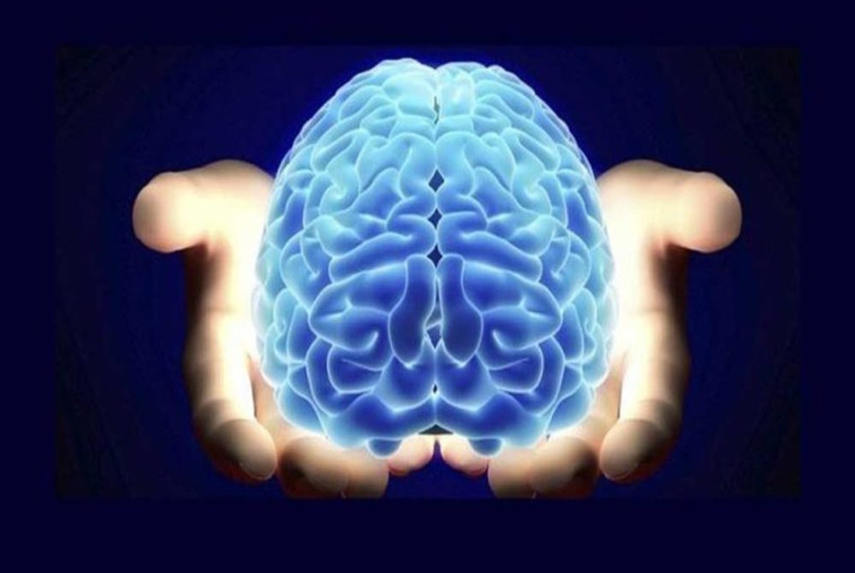 کشف رابطه‌ای عجیب میان اضطراب و عملکرد مغزی

