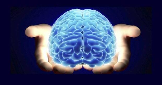 تاثیر استرس بر عملکرد مغز
