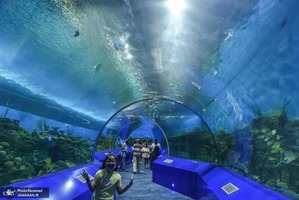 منتخب تصاویر امروز جهان- 31 تیر 1400