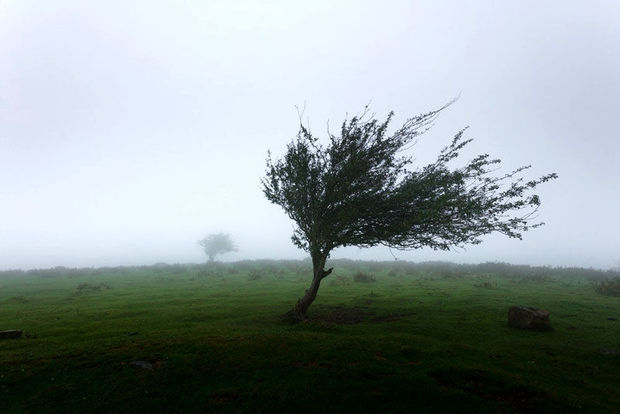 سرعت وزش باد در گرمسار به ۹۰ کیلومتر بر ساعت رسید