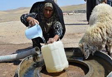 20  درصد عشایر گچساران کوچ نکردند  بحران در زندگی عشایری در صورت ادامه خشکسالی