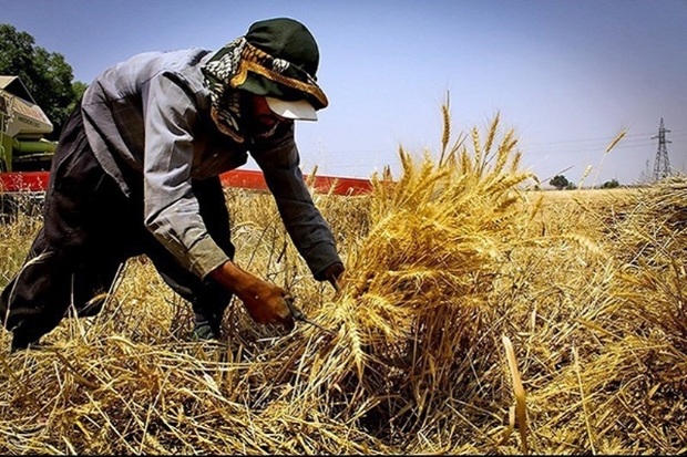 841طرح اشتغال روستایی درکهگیلویه وبویراحمدبه بانک معرفی شد