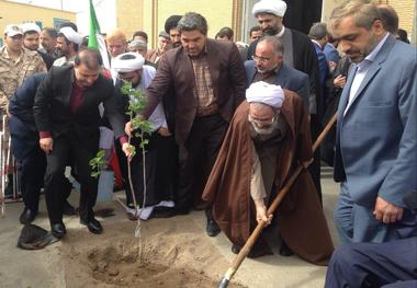 جلوه هایی از نماز جمعه قم غرس نهال به مناسبت هفته منابع طبیعی در مصلی