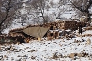 25 خانوار روستایی گرفتار در برف اندیکا امداد رسانی شدند