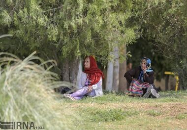 نرخ سالمندی در سبزوار بالاتر از میانگین کشوری است