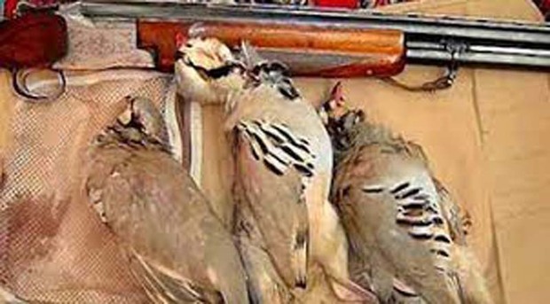 چهار شکارچی متخلف در بروجرد دستگیر شدند