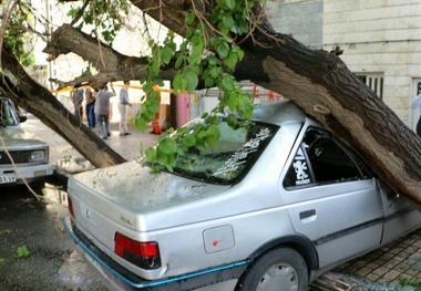 59 حادثه در پی وقوع طوفان و باد در استان البرز