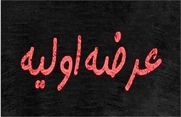 عرضه اولیه «کوچین» کشف قیمت شد
